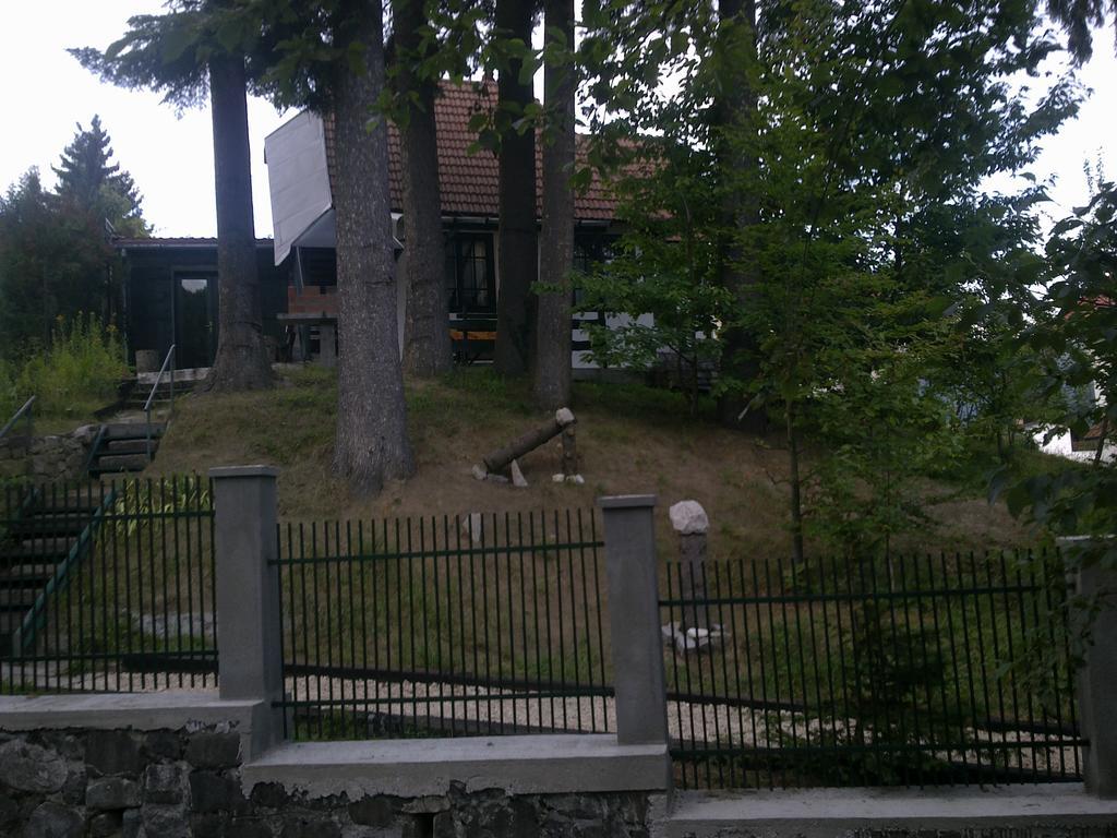 Вилла Casa Gabriela Синая Номер фото