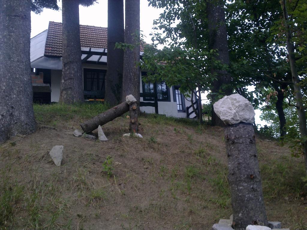 Вилла Casa Gabriela Синая Номер фото