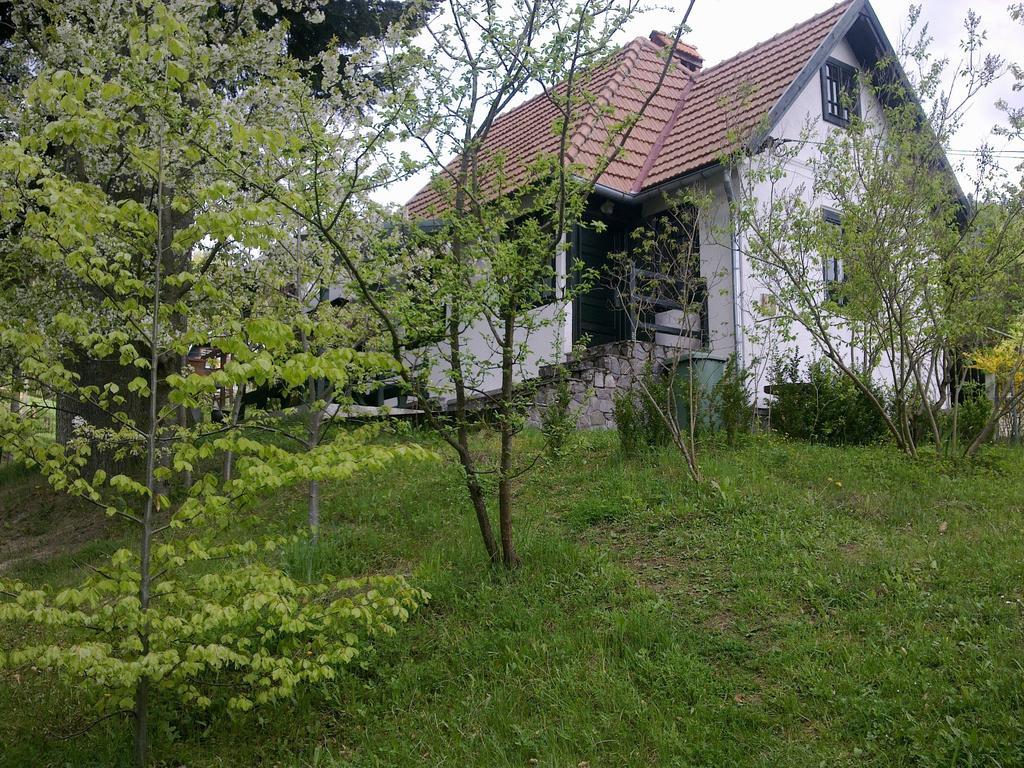 Вилла Casa Gabriela Синая Номер фото