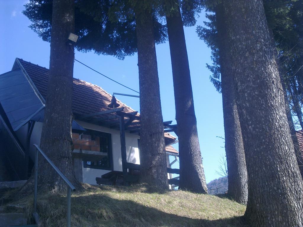 Вилла Casa Gabriela Синая Номер фото