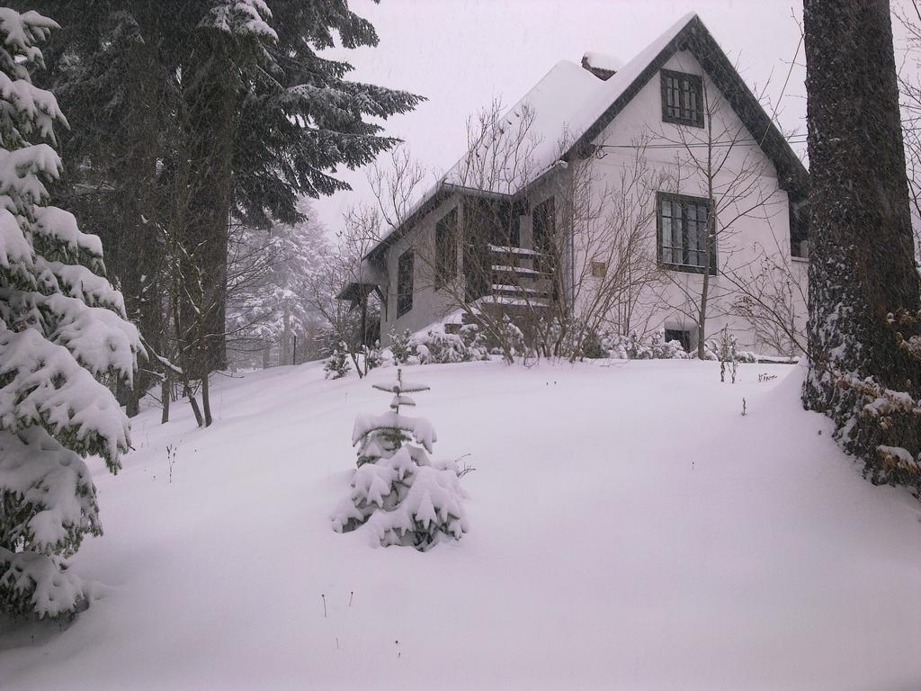 Вилла Casa Gabriela Синая Номер фото
